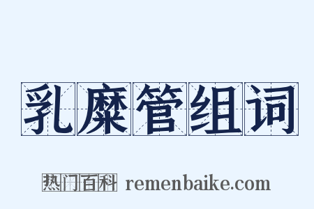 乳糜管组词是什么意思的图片